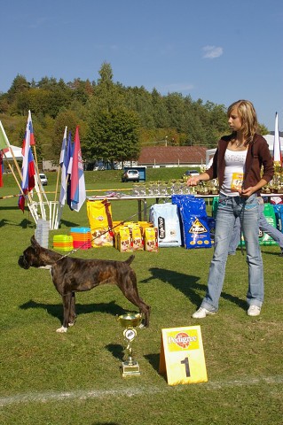 www.boxer-show.eu